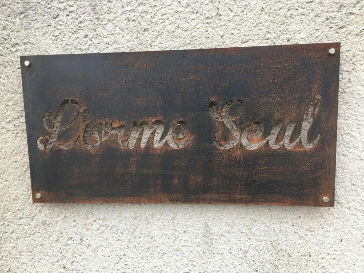 L'Orme Seul, Maison D'Hotes Vineuil  Εξωτερικό φωτογραφία