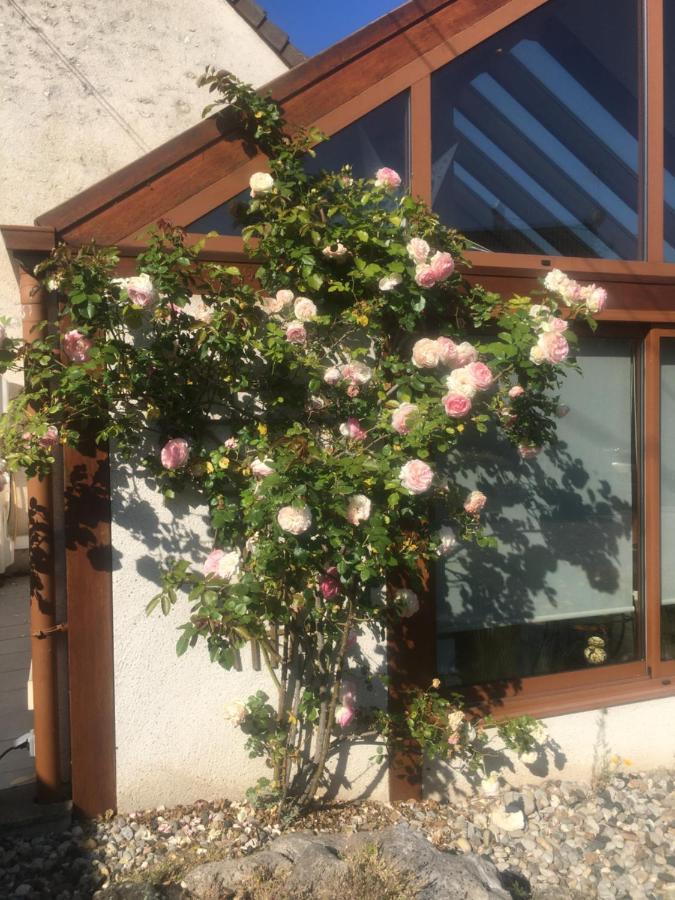 L'Orme Seul, Maison D'Hotes Vineuil  Εξωτερικό φωτογραφία